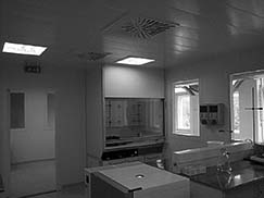 DCP03502